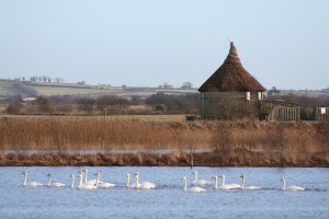 Lough-Boora-Lakes-and-wetlands 